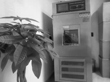 少妇人妻无码AV片在线蜜芽